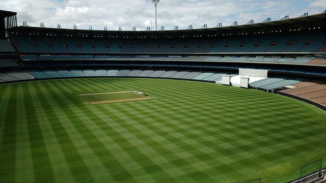 多數棒球迷 多數棒球迷