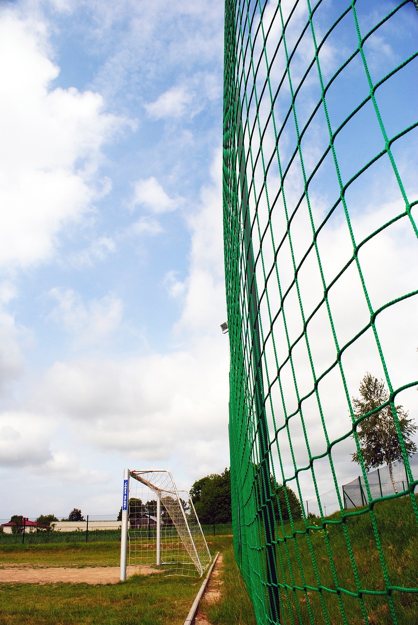 地在雪地中 地在雪地中