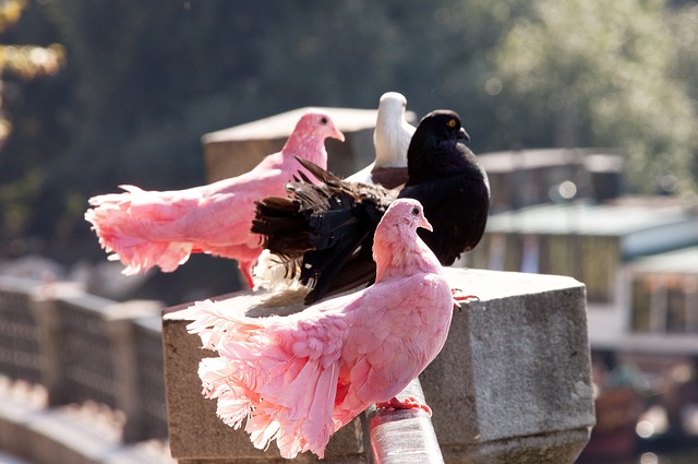 關鍵在於是 關鍵在於是