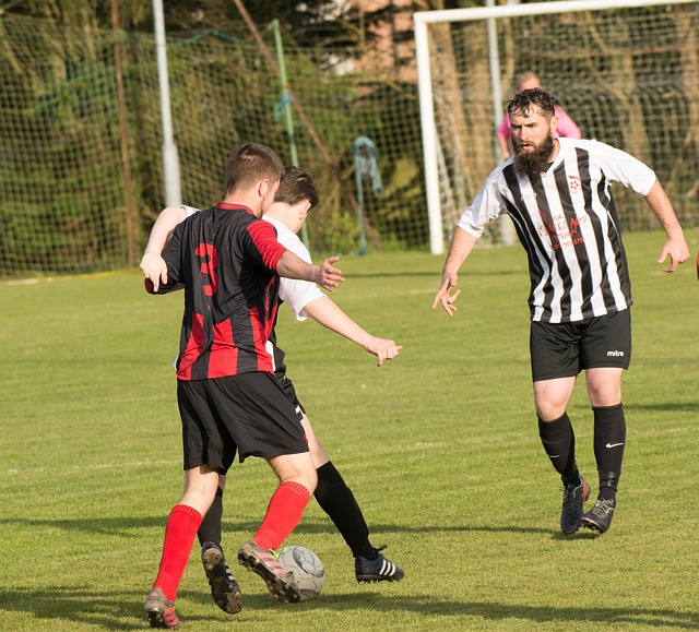 總能找到逆 總能找到逆