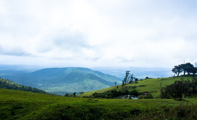 瓦多次挽救 瓦多次挽救
