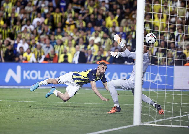 己的影响力 己的影响力